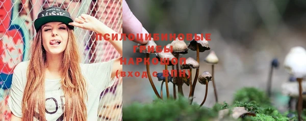 прущие грибы Карпинск