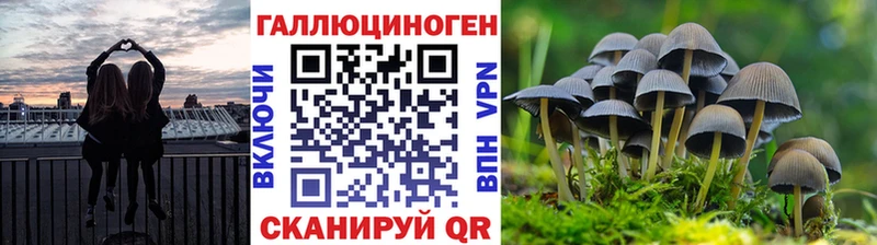 kraken ссылки  что такое   Новоаннинский  Галлюциногенные грибы GOLDEN TEACHER 